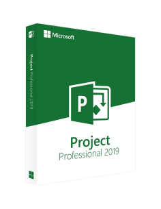 Project 2019 Professional 2